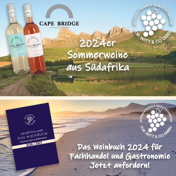 Vintage 2024 from South Africa and our new wine book - 