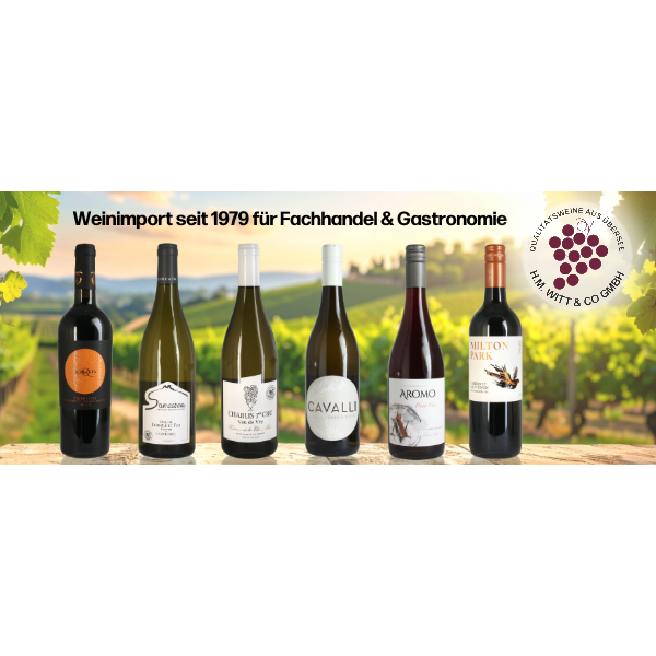 Frische, neue Weine im Lager eingetroffen - 