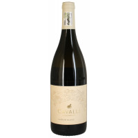 Cavalli Chenin Blanc Reserve 2024 0,75 Ltr.