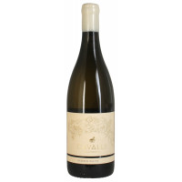 Cavalli Reserve White Blend 2024 0,75 Ltr.