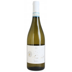 Cantine Birgi Tre Venti Grillo 2025 DOC 0,75 Ltr.